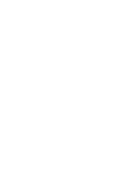 houdini programs