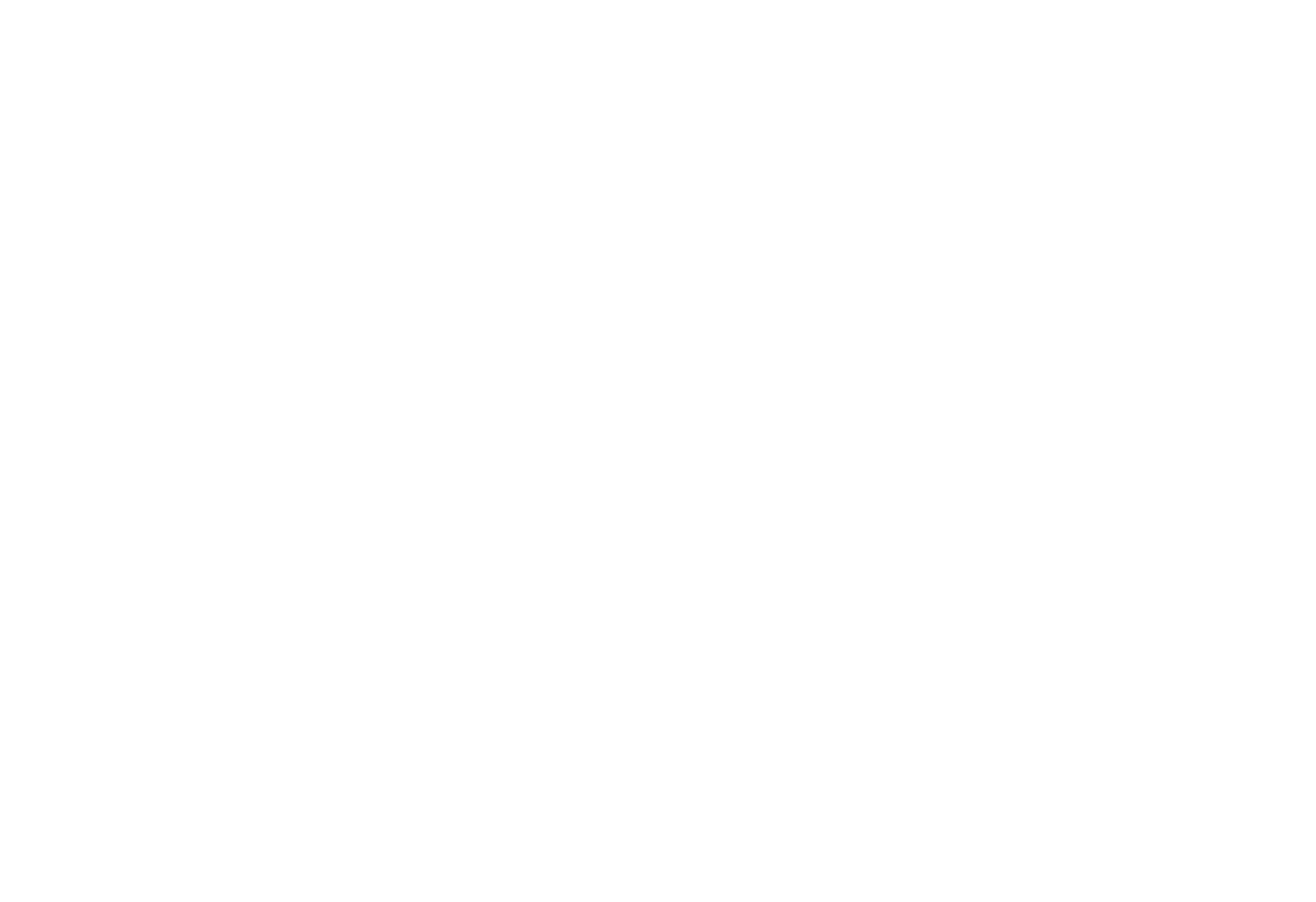 maximum effort logo