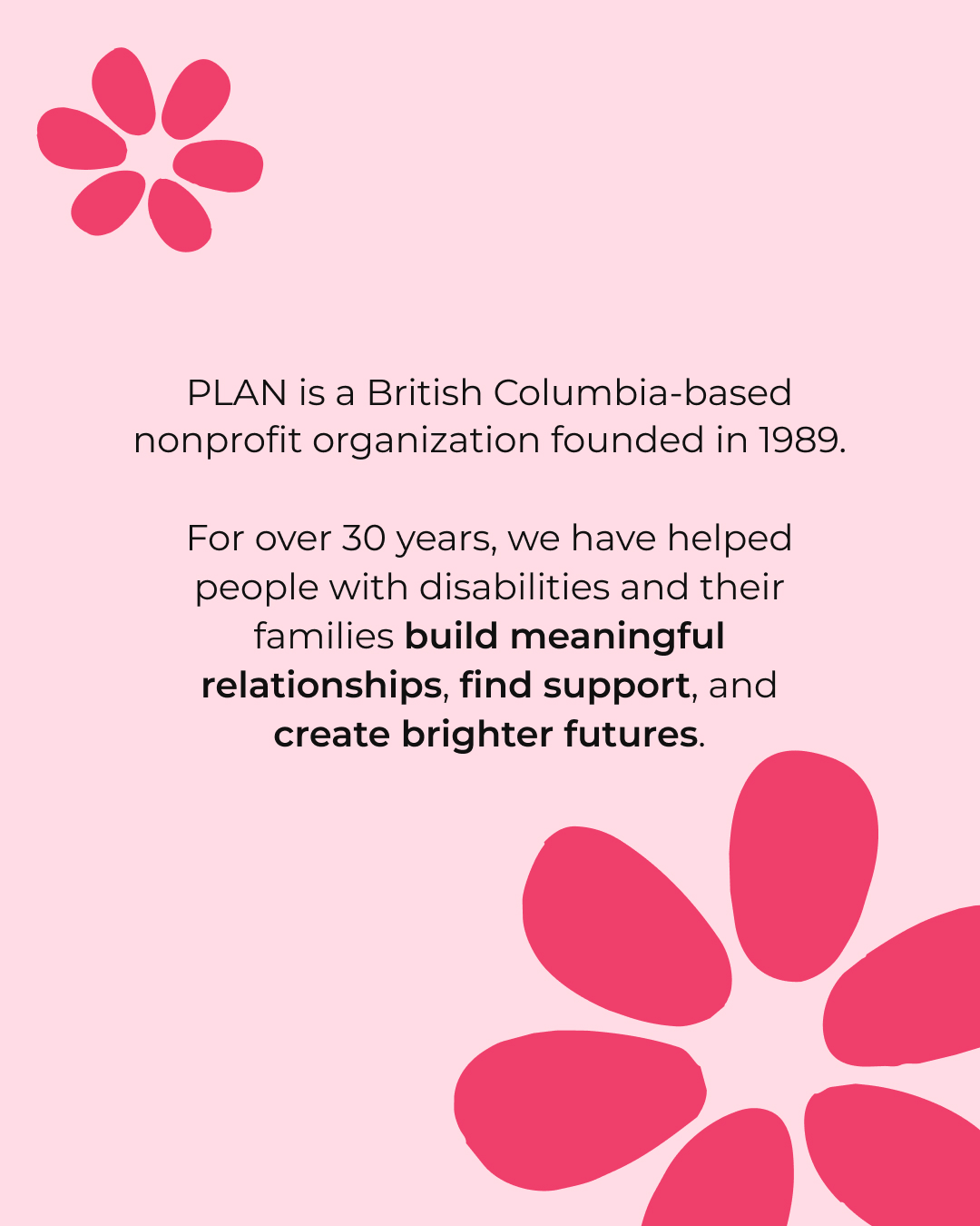 Final “What Is PLAN?” campaign document created by VFS Digital Design students, showcasing the organization’s mission, services, and approach to building long-term support networks for families.