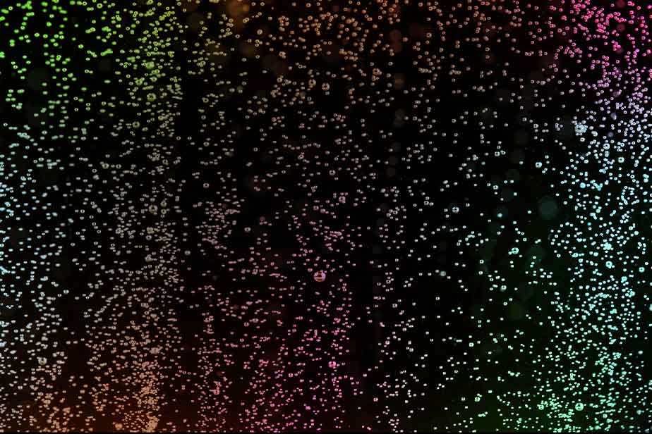 VFS scholarship thumb