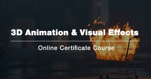 VFS Connect Programs