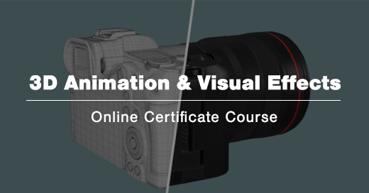 VFS Connect Programs
