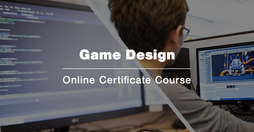 VFS Connect Programs